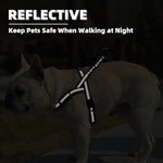 Front chest D-ring attachment point for dog leash