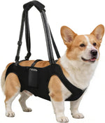 Dog Lift Harness with Pocket Full Body Dog Harness with Adjustable Handle Dog Carrying Sling Pet Legs Support Sling for Senior Dogs Joint Injuries Post Surgery Recovery Hiking,Black,XL - Image 8
