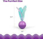 Interactive enrichment toy for indoor cats