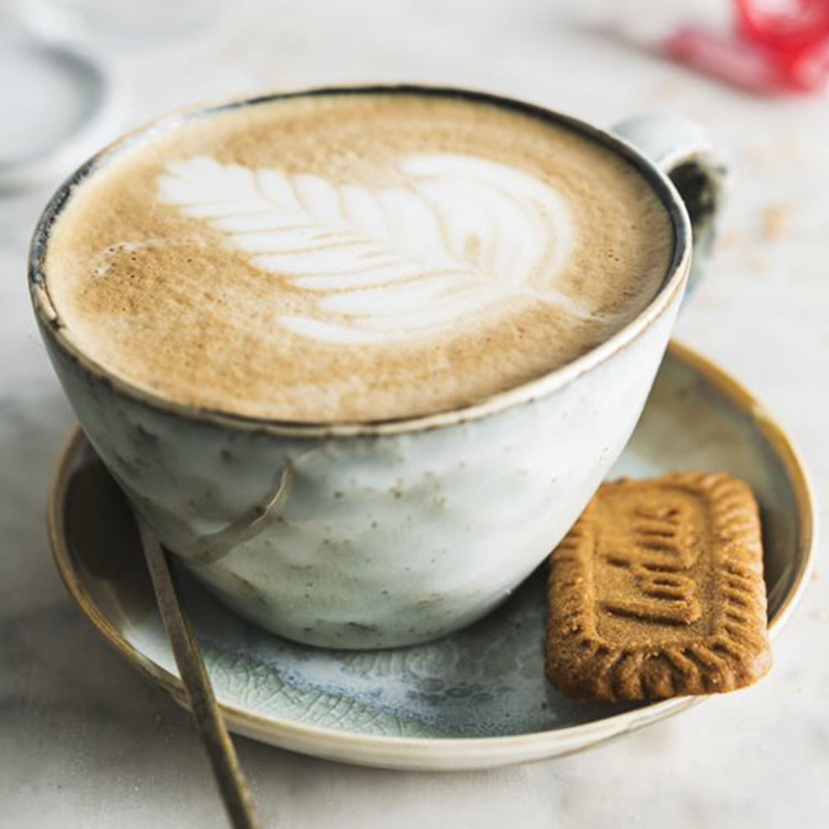 Biscoff Lotus 125g back label showing ingredients