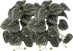 2Pack Reptile Fake Plants for Terrarium, Snake Tank Accessories, Habitat Decor Artificial Hanging Plants with Suction Cup - Fake Monstera - Image 10
