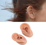 VINGVO silicone ear model showing anatomical details