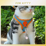 Ancnoz crystal cat pendant attached to a pet collar.
