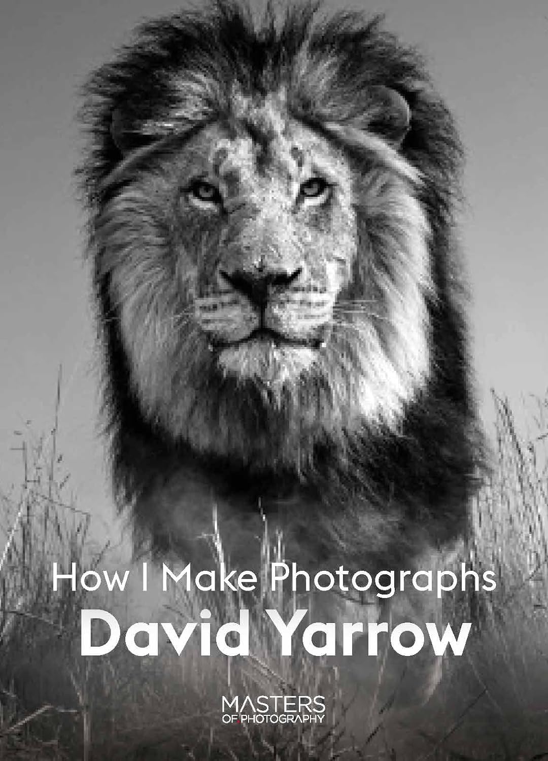 David Yarrow: How I Make Photographs (Masters of Photography) - Image 1