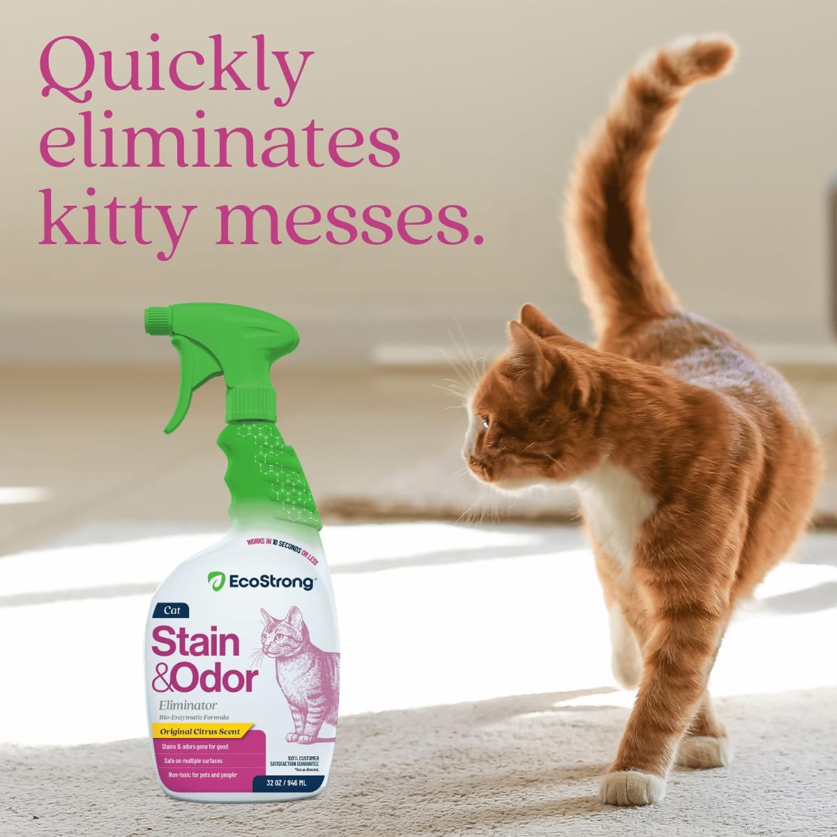 Cat stain and odor remover spray being applied to living room carpet