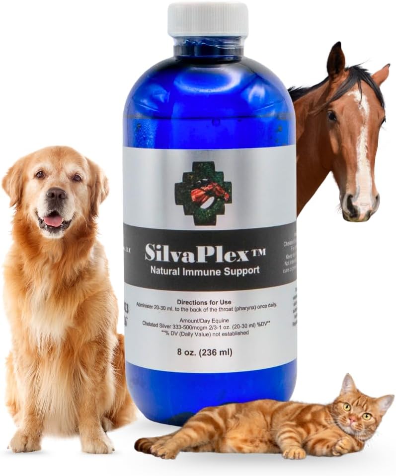 SilvaPlex Natural Immune Support Solution 16 Ounce bottle front view