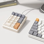 Kisnt KN17 accounting numpad displaying white LED backlighting