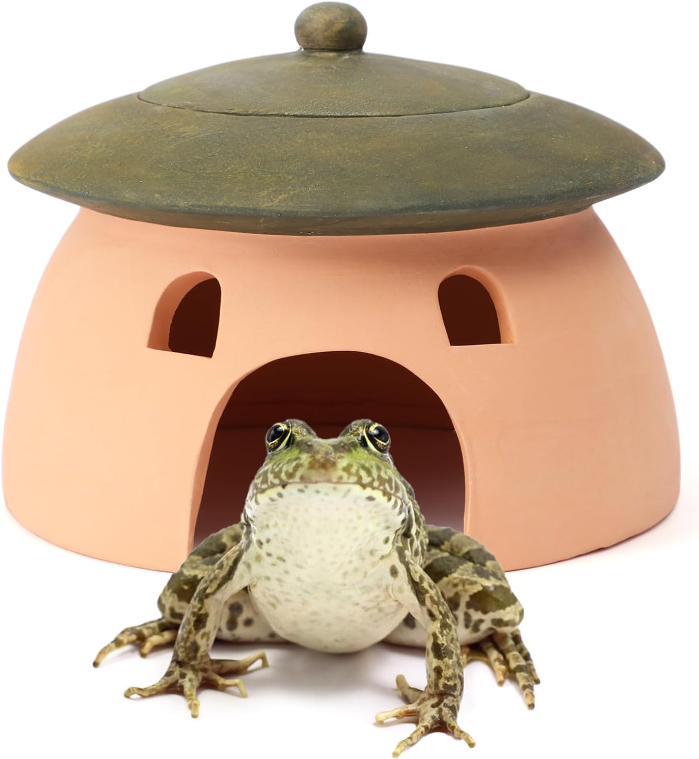 Frog and Toad House 8 x 6Inch Toad House for Outside Garden Reptile Cave Red Pottery Ceramics Small Reptile Cave Hide Reptile Hides and Caves Snake Toad Frog Turtle House Green with Lid - Image 1