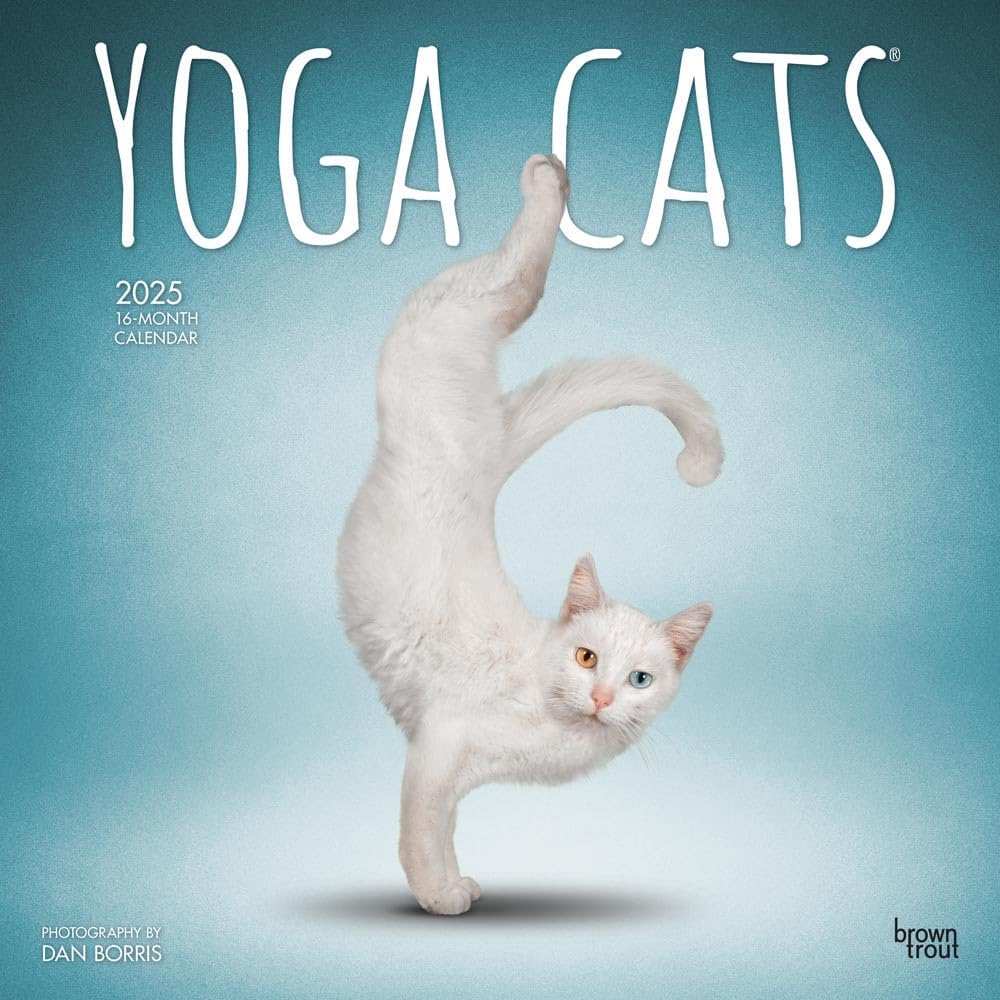 Yoga Cats OFFICIAL | 2025 12 x 24 Inch Monthly Square Wall Calendar | Plastic-Free | BrownTrout | Animals Humor Pets - Image 1