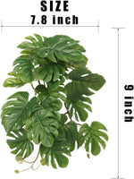 Woledoe hanging Monstera plants for snake tank terrarium