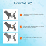 Bestle male dog wrap packaging showing sizing chart for extra small dogs between two and thirteen pounds.