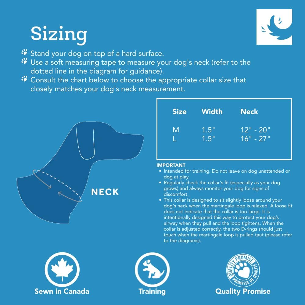 Medium training dog collar reflective label detail