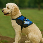 WorkingServiceDog.com dog gear tag featuring metal swivel hook
