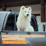 Dog Seatbelt, Car Harness with Coated Wire Rope, Happy Ride Dog Zipline, Safety Restraint No-Chew Tether Cable (Stainless Steel, 5 FT) - Image 6