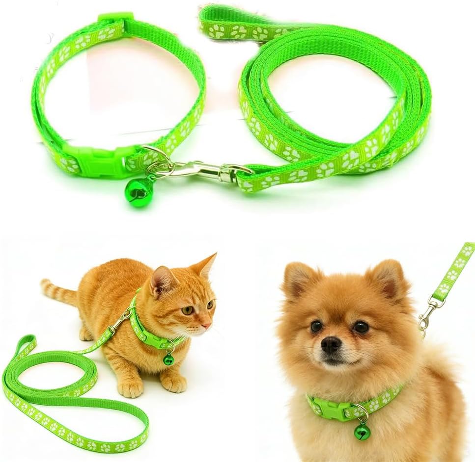 HimyBB lime green puppy collar and leash set front view