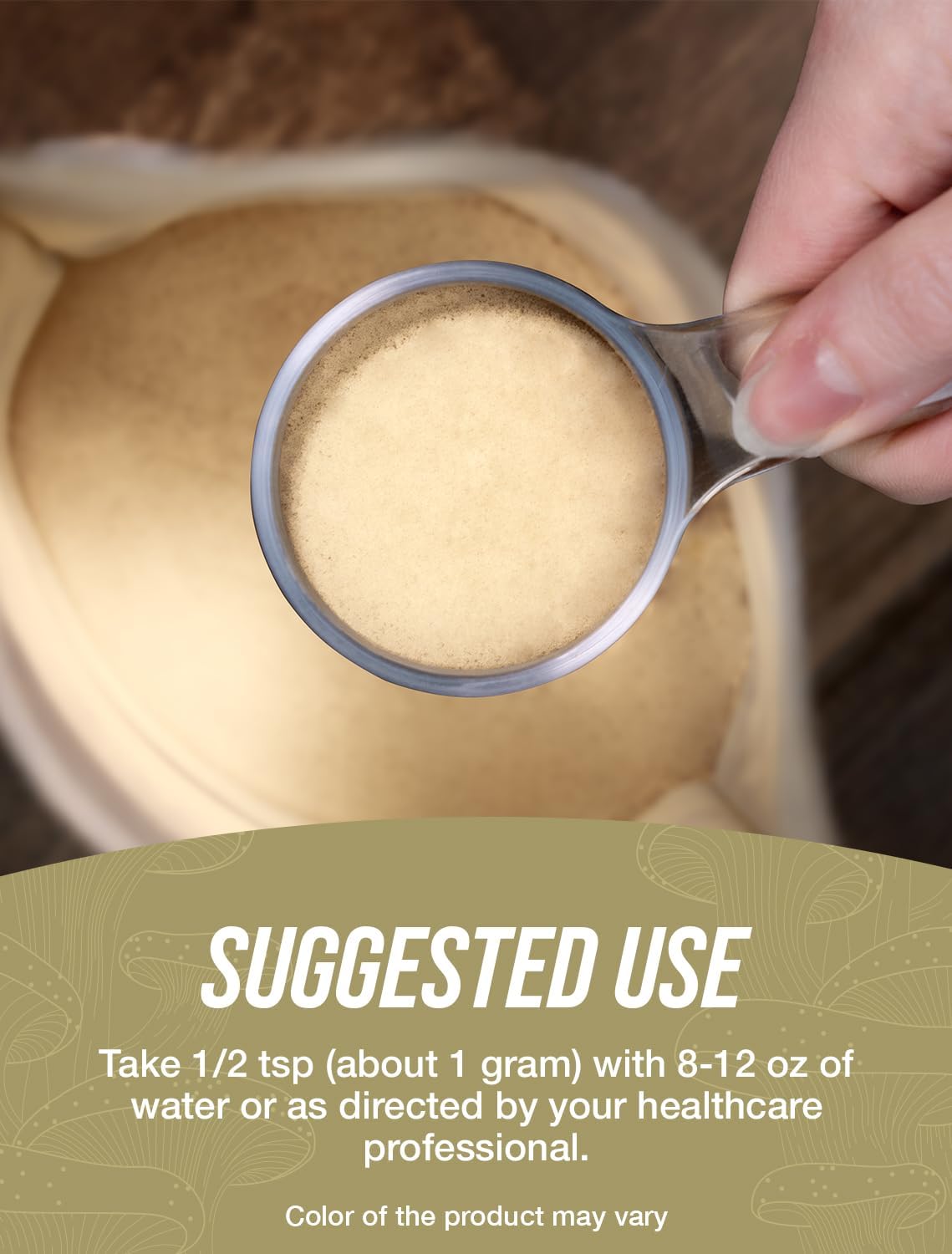 BulkSupplements Reishi Mushroom Extract powder texture
