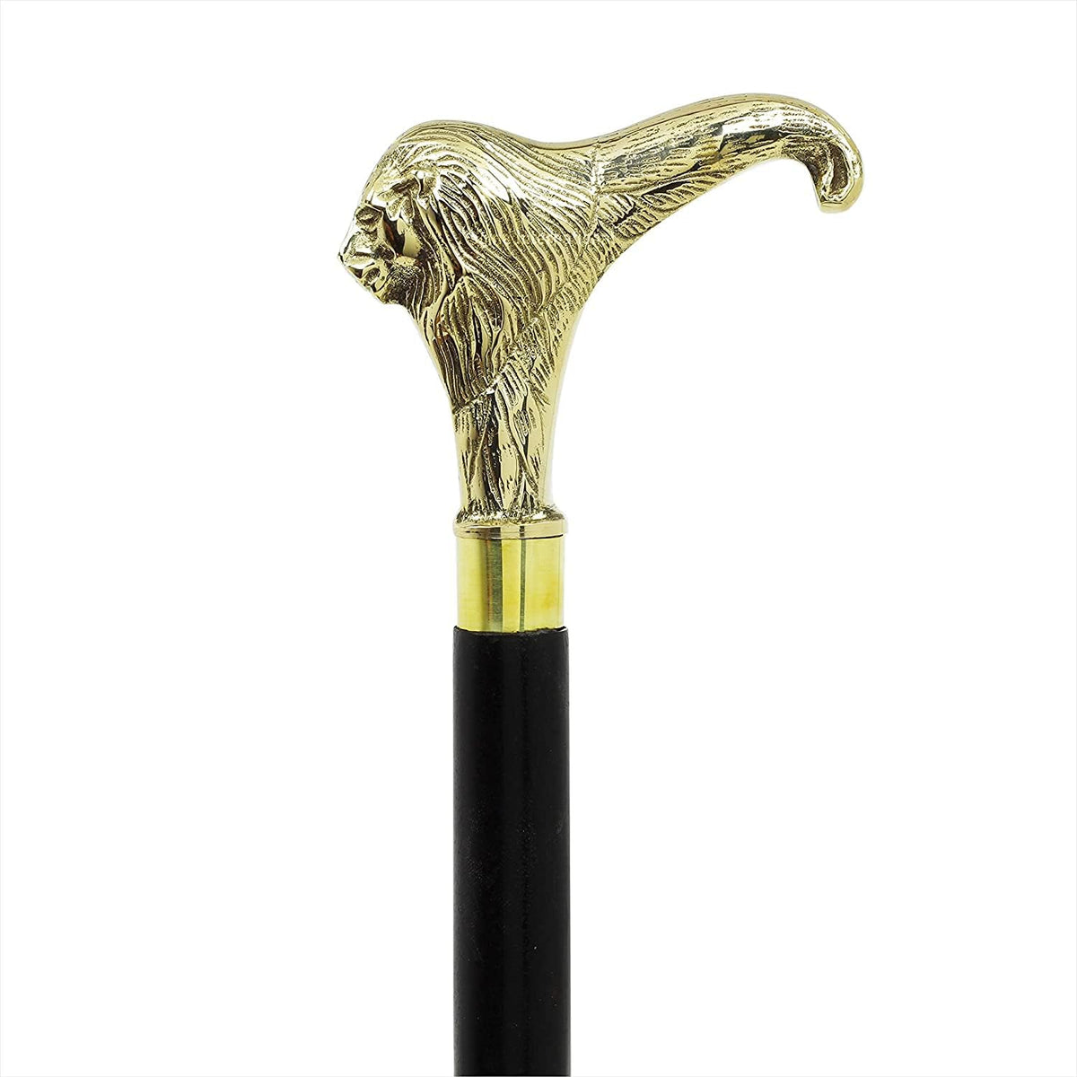 Riylox brass walking stick front view showing lion head handle