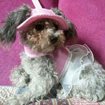 Small dog wearing pink MaruPet visor hat