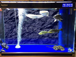 VIP. LINE underwater cave design aquarium background sheet