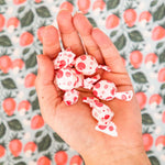 Tummydrops imported ginger lozenges display showing thirty three count quantity