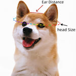 Size small dog hat showing ear hole placement
