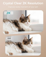 ZUMIMALL 2K HD cat and dog camera highlighting the dual band WiFi connectivity