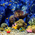 Mimorou safe polyresin fake coral plants surrounding a miniature underwater setup