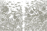Tales from Atlantis: Coloring Book (Hanna Karlzon) - Image 3