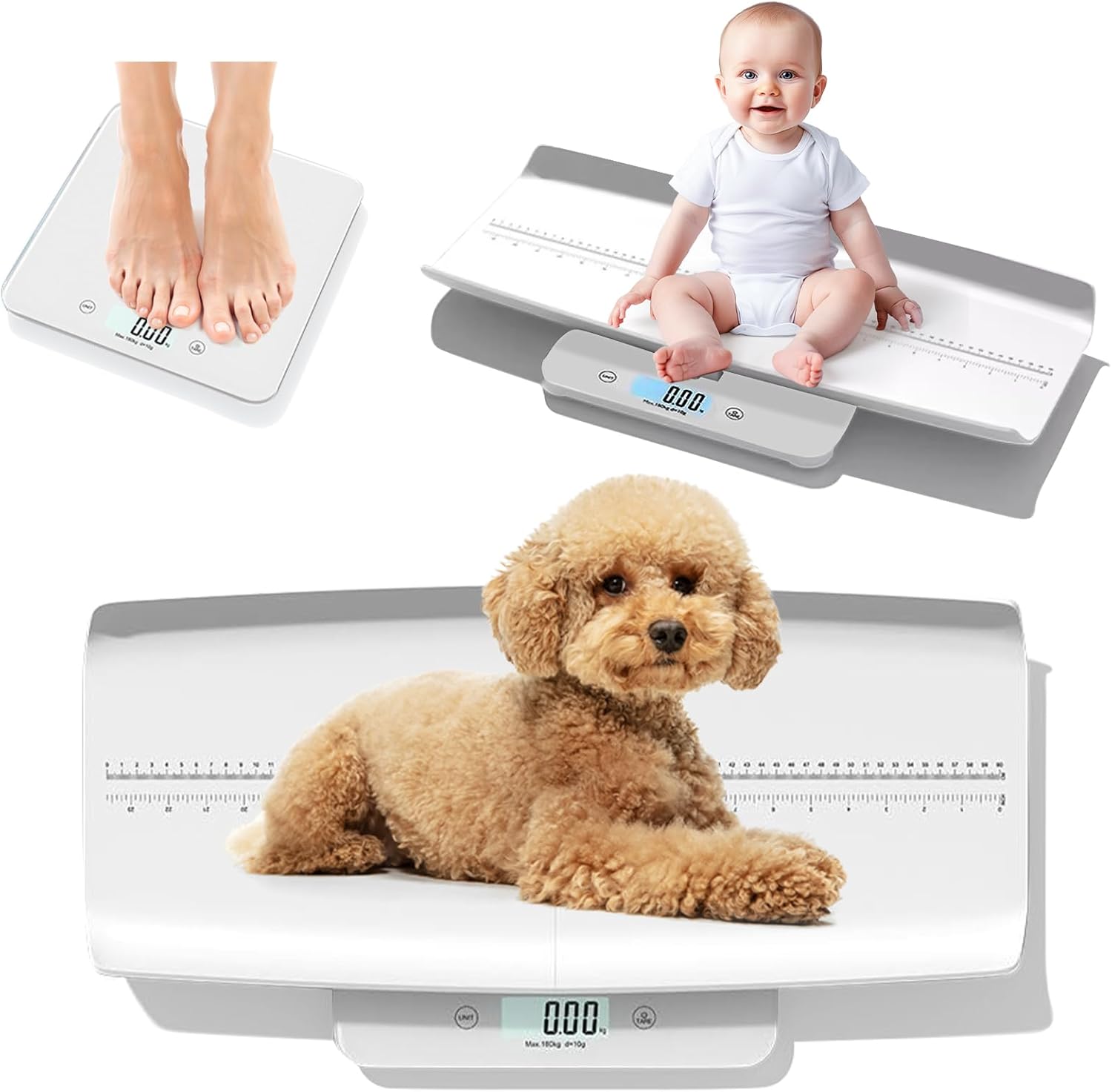 Helsevesen small breed veterinary scale front view featuring the digital LCD screen and sleek black tempered glass platform.