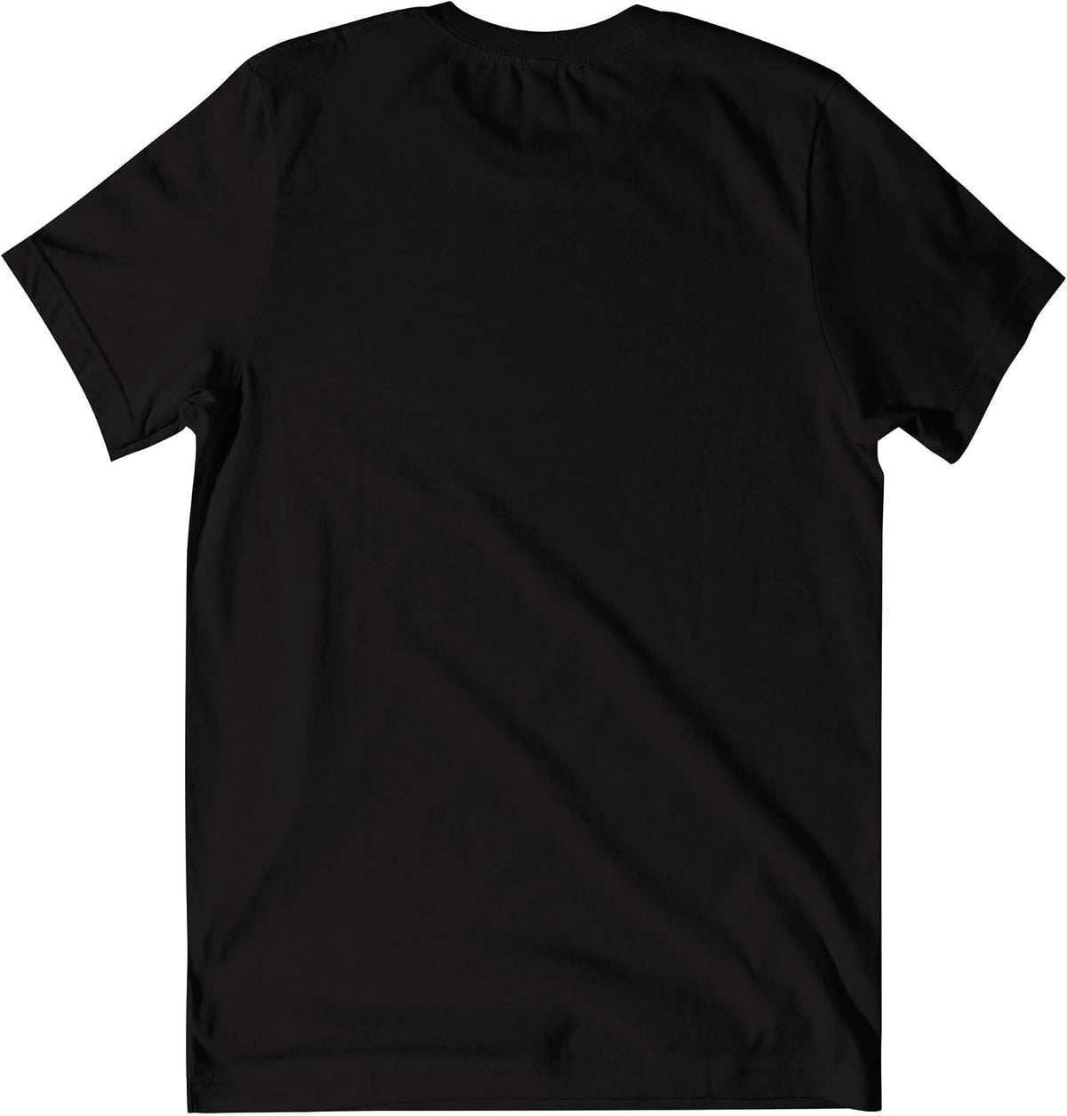 FOCO Pittsburgh Steelers black t-shirt back view