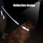FunTags heavy duty nylon dog leash being used for outdoor training sessions.