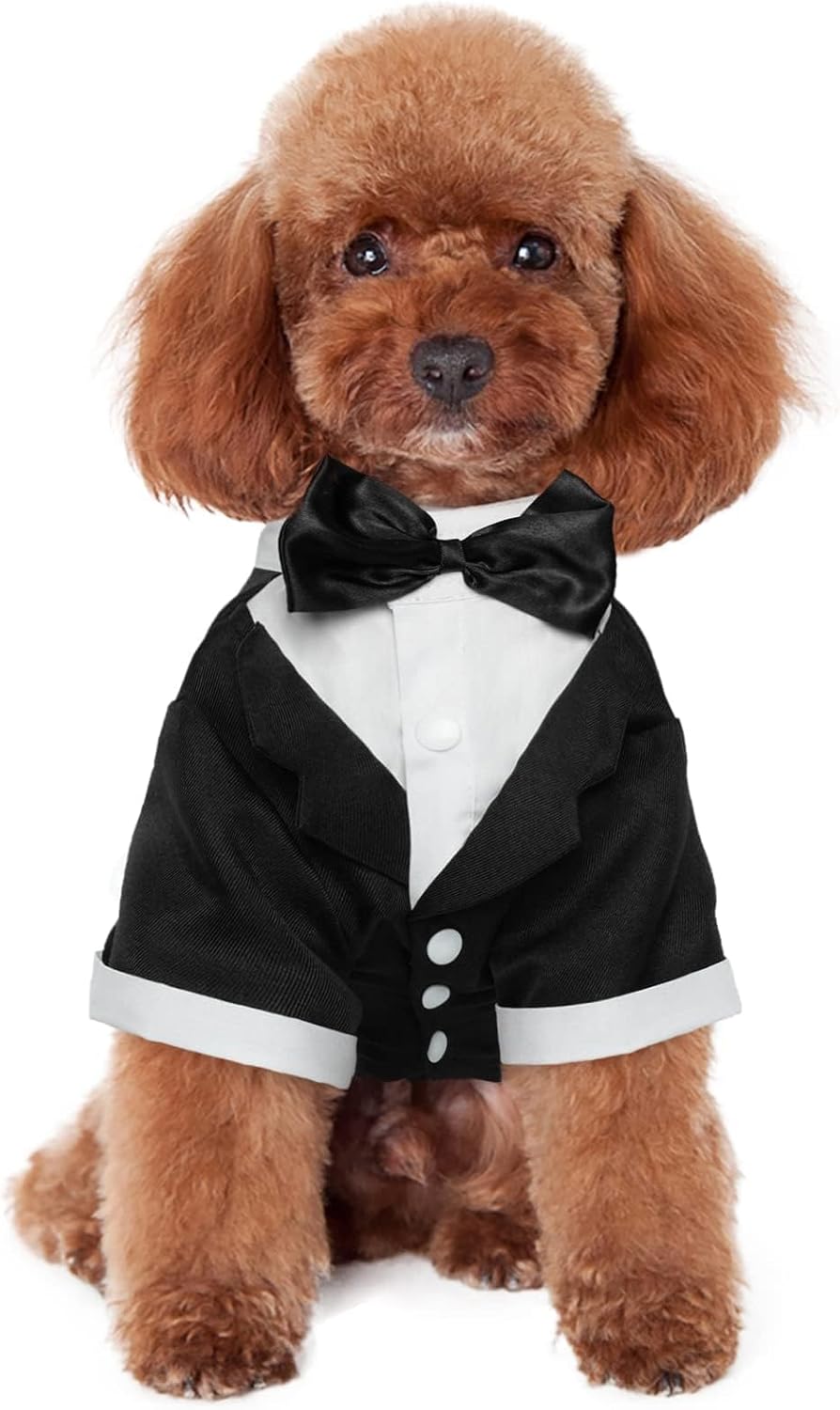 Kuoser dog tuxedo front view showing the integrated black bow tie and white shirt panel.