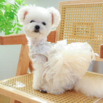 Rear view showing the secure metal D-ring harness attachment on dog clothes.