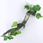 AQUA KT reptile environment decoration packaged and ready for terrarium installation.