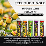 Pocket sized Xero Picks Sourz premium flavored toothpicks packaging details.
