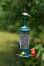 Brome bird feeder seed tube ventilation system