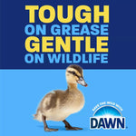 Dawn Ultra EZ-Squeeze dish soap original imported bottle presentation