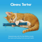 Pioneer Pet Nip Nibblers for indoor cats playing