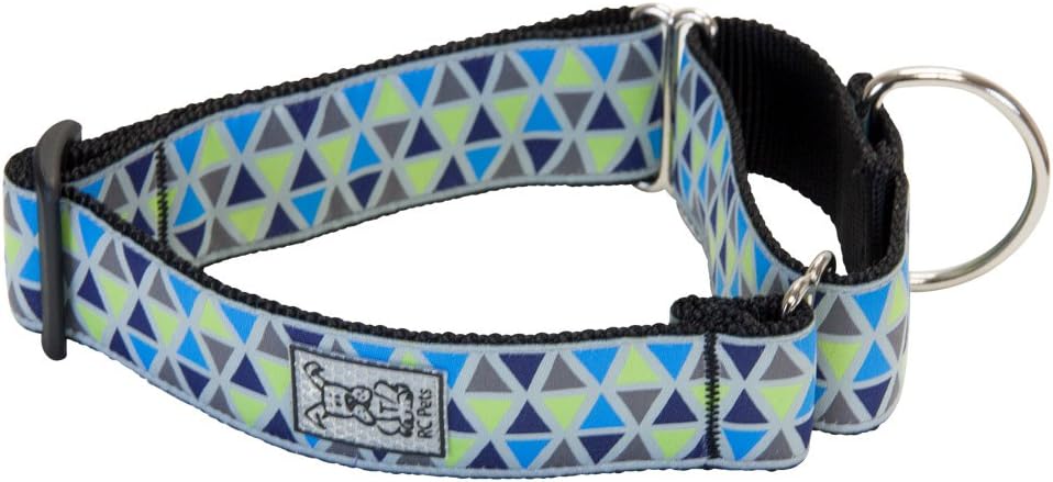 RC Pets 1-1/2 Inch All Webbing Martingale Training Dog Collar, Medium, Watermelon - Image 12