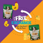 Bernie's Perfect Poop imported USA supplement for dogs