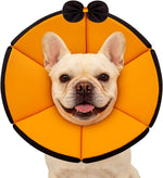 Dog resting comfortably with Maxfut soft recovery collar