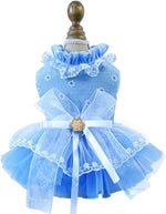 Chihuahua wearing the ANIAC champagne princess apparel for birthday parties.