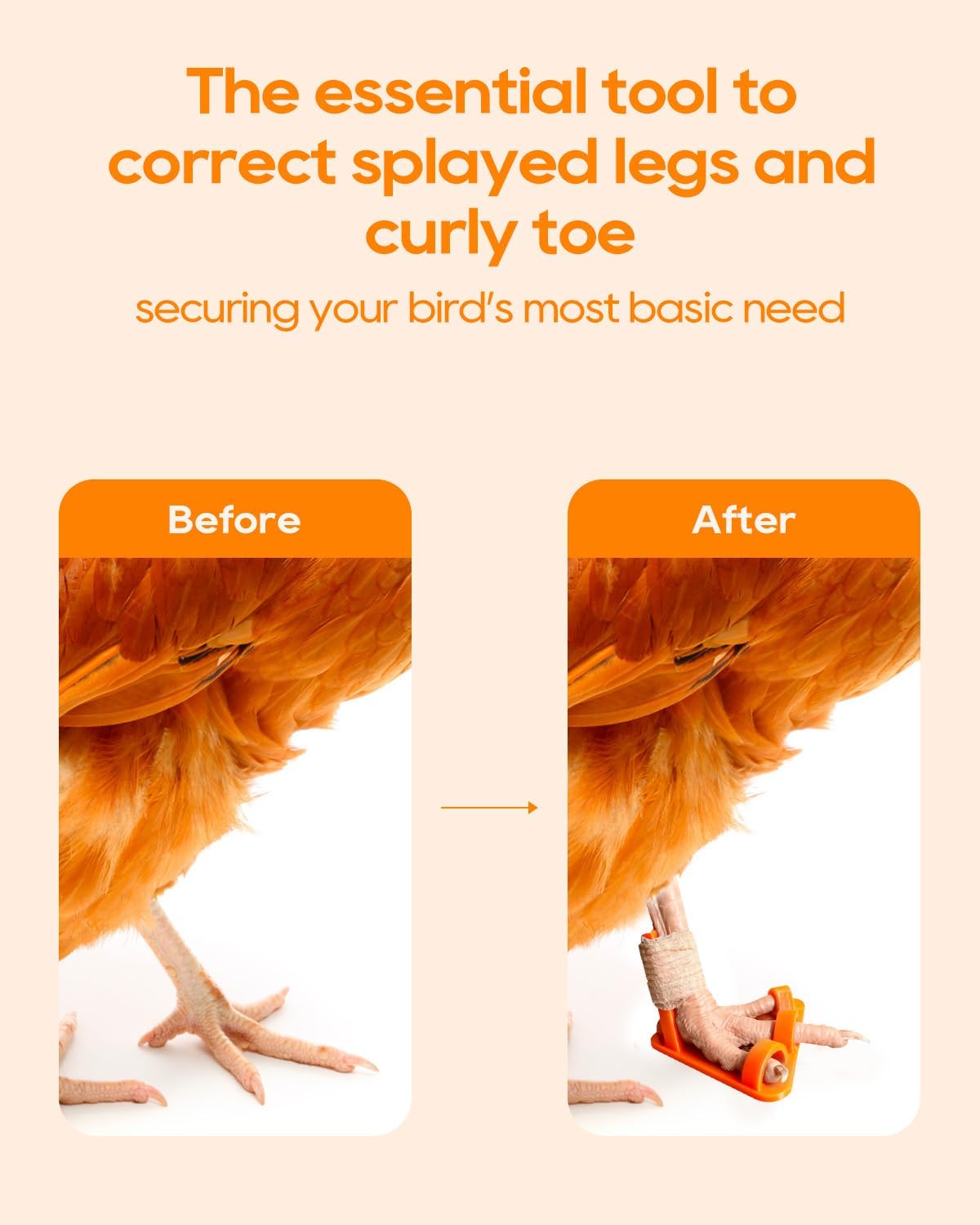 Six piece chicken leg brace kit for bumblefoot treatment