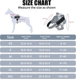 Bolux dog harness top handle and leash attachment