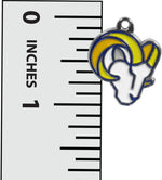 Siskiyou NFL chrome dangle earrings hypoallergenic fishhook posts