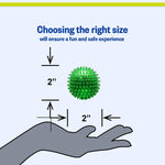 PetSport interactive puppy toy demonstrating flexible spiky texture.