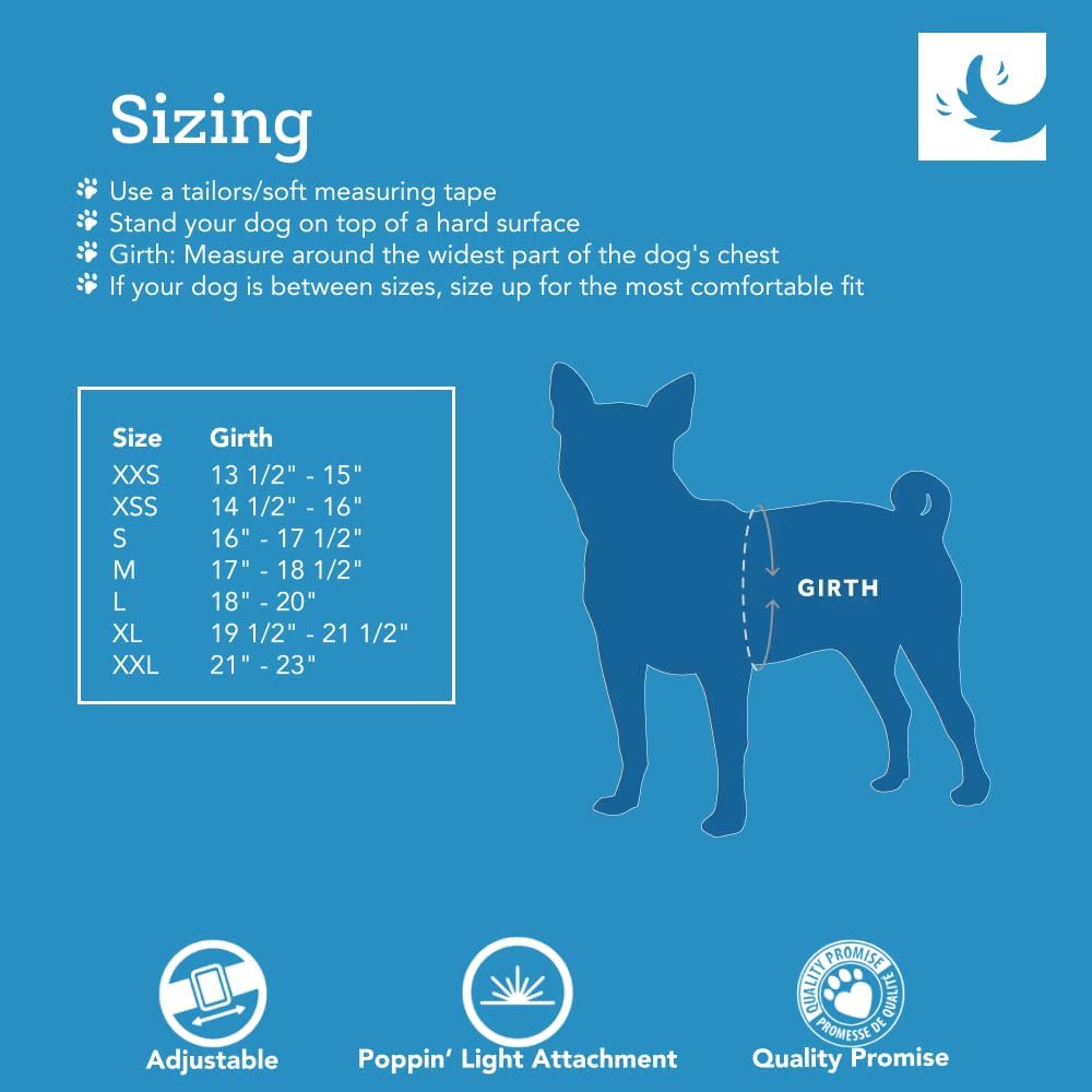 Side view of dog wearing Medium RC Pet Cirque harness