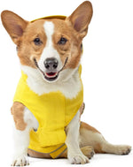 Canada Pooch Torrential Tracker jacket packaged view