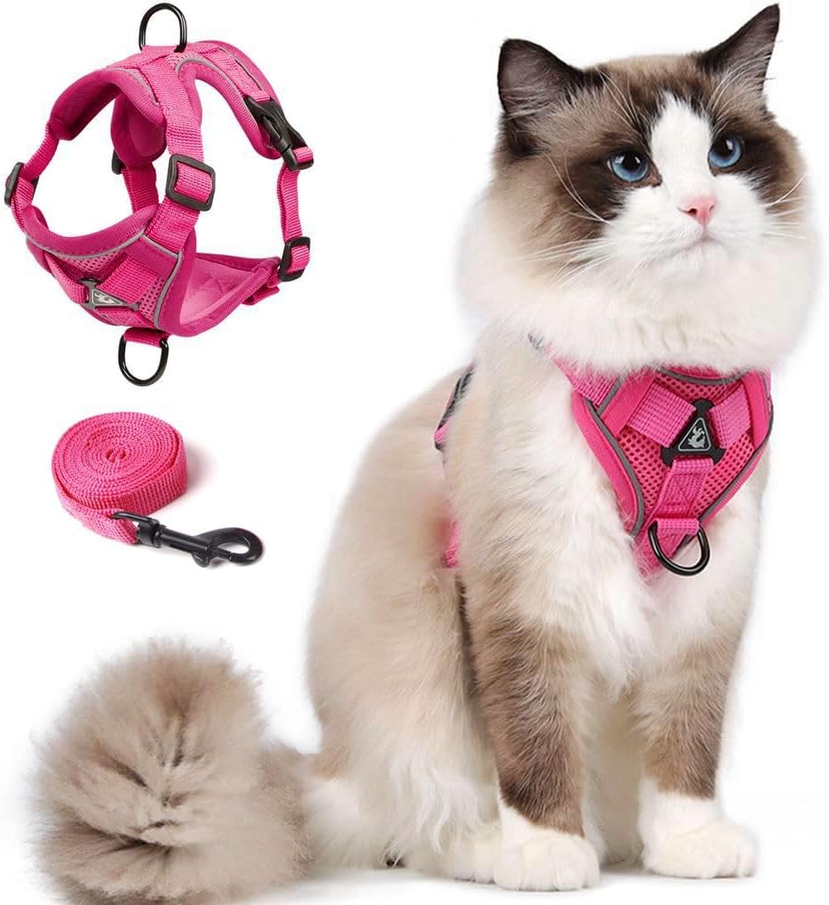 Skmeditec Cat Harness and Leash Set: Upgraded Escape Proof Vest with Lead for Large Cat Small Dog Puppy Walking, Soft Jacket with Reflective Strips L2 Size Blue - Image 13