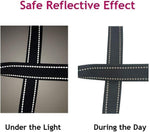 The complete MoSANY detachable 3 way pet lead set laid out showing all three color-coded sections.